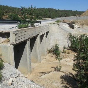 Detailed inspection of two bridges on the road RR35