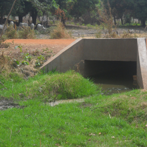 National Road Inter-state N°7 (RNIE7) : KANDI-SEGBANA - Border NIGERIA